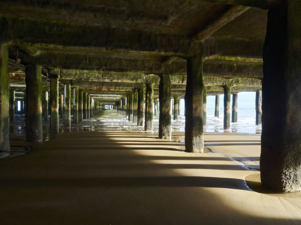 Concrete Pier Repair in Petaluma